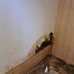 before-bracken-ridge-03 before-bracken-ridge-03