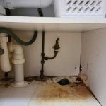 before-bracken-ridge-04 before-bracken-ridge-04